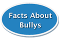 bully_facts